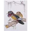 Image 1 : 1950 Menaboni Print, Wood Duck