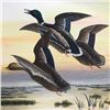 Image 1 : 1930's Signed Ducks In Flight Watercolor Painting