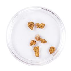 Lot of Gold Nuggets 2.44 Grams Total Weight