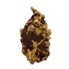 Image 4 : 61.90 Gram Gold Nugget