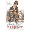 Image 1 : A Dog