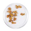 Image 2 : Lot of Gold Nuggets 3.79 Grams Total Weight