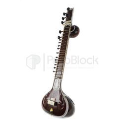 Bill & Ted Face the Music Sitar Instrument & Case