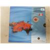 Image 1 : Canadian Commemerative Set 2007