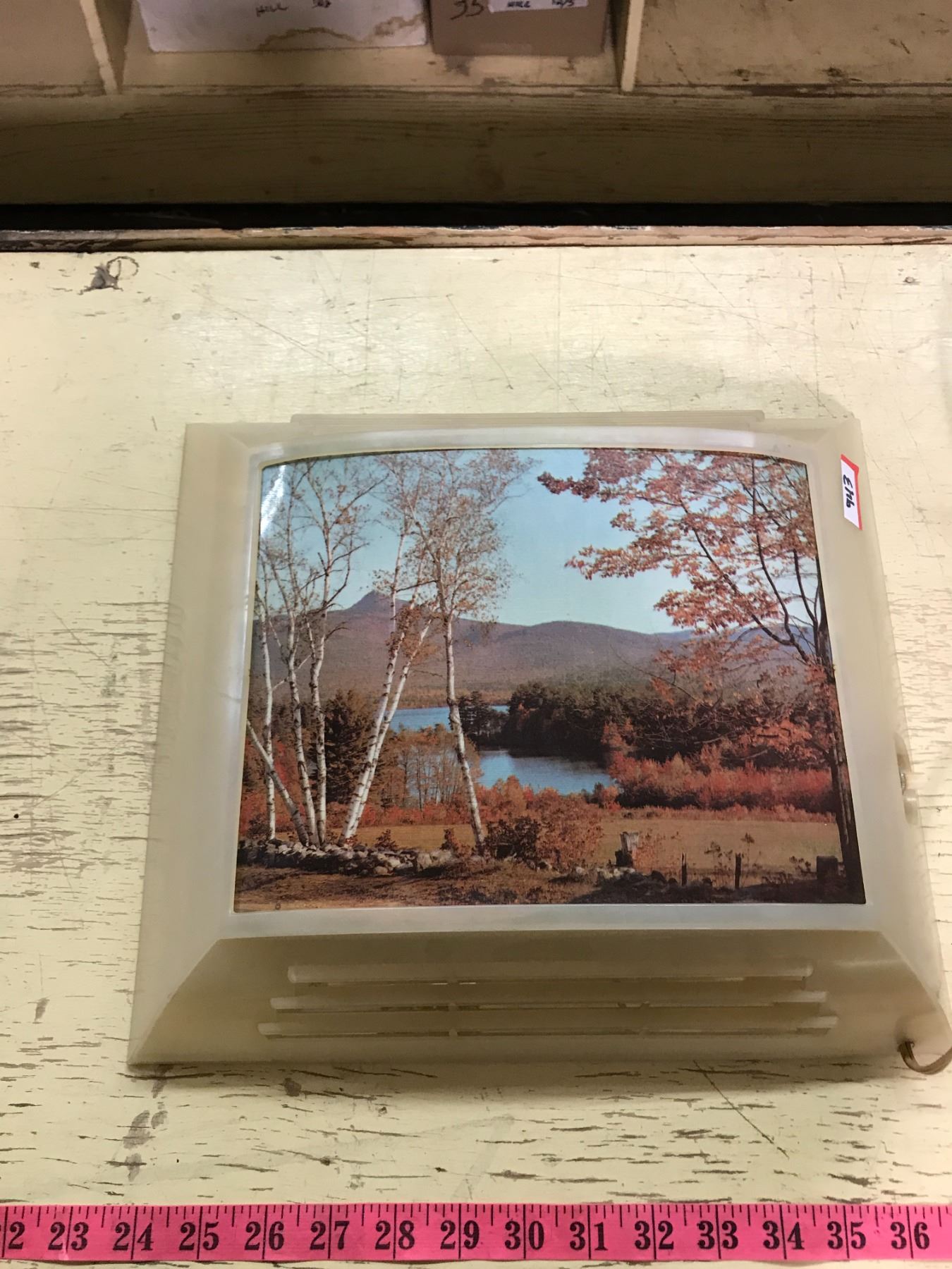 Helm Shadow Box Rare Vintage Shadow Box Light Picture By Helm scene (Working)
