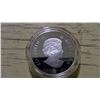 Image 3 : Canada Dinosaur Fossil 2008 4$ Coin