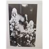 Image 2 : Framed Black & White Photographic Print