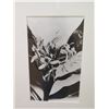 Image 2 : Framed Black & White Photographic Print