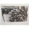 Image 2 : Framed Black & White Photographic Print
