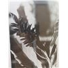 Image 2 : Framed Black & White Photographic Print