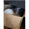 Image 2 : LARGE BOX OF 40 NEW HELMETS - VARIOUS STYLES, NON DOT