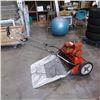 Image 1 : JACOBSEN VICTOR GAS POWERED REEL MOWER