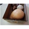 Image 2 : CONCH SHELL AND OTHER SHELLS
