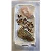 Image 2 : Semi precious geodes and stones