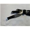 Image 2 : 3 new throwing knives