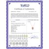 Image 2 : 0.11 CTW Diamond Necklace 14K Rose Gold - REF-18W6H