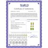 Image 2 : Genuine 5.62 ctw Peridot Earrings 14KT Yellow Gold - REF-62R7P