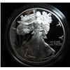 Image 1 : 2002 SILVER EAGLE COIN