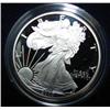 Image 1 : 2003 SILVER EAGLE COIN