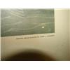 Image 3 : CANVASBACK DUCK AUDUBON PRINT