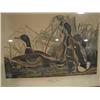 Image 2 : MALLARD DUCK AUDUBON PRINT