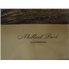 Image 3 : MALLARD DUCK AUDUBON PRINT