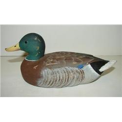 MALLARD DRAKE DECOY