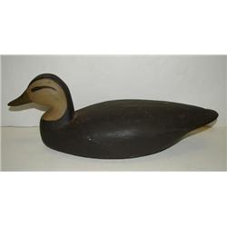 BLACK DUCK DECOY