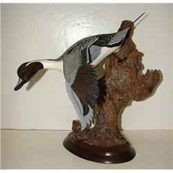 MARYLAND PINTAIL CARVING