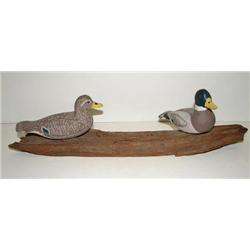 NORTH CAROLINA MALLARD DECOYS