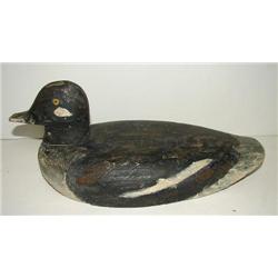 DELAWARE BUFFLEHEAD DECOY