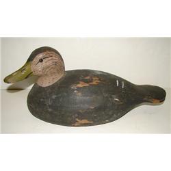 VIRGINIA BLACK DUCK DECOY
