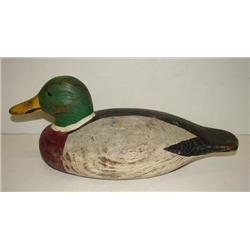 VIRGINIA MALLARD DECOY