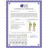 Image 2 : Genuine 9.3 ctw Peridot & Pearl Earrings 14KT Yellow Gold - REF-44Y4F