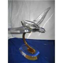 Soaring from the Canali Collection