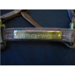 Northern Dancer's Accessory