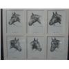 Image 1 : Framed drawings of the Triple Crown Win