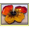 Image 1 : ENAMEL SILVER  PANSY BROOCH DAVID ANDERSEN #1252533