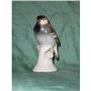 Image 1 : Porcelain Bird made by  Aelteste Volkstedter #1256294