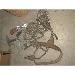 Assorted Horse Spurs, Harnesses, Mouth Pieces #1252996