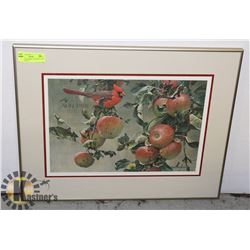 ROBERT BATEMAN "CARDINAL AND WILD APPLES"