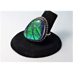 13)  IRRIDESANT GREEN/BLUE  COLORED