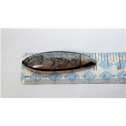 4)  ORTHOCERUS 400 MILLION YEAR OLD