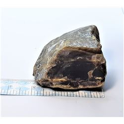 6)  PETRIFIED WOOD SPECIMEN, 446.4 GRAMS
