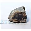 Image 1 : 6)  PETRIFIED WOOD SPECIMEN, 446.4 GRAMS