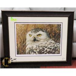 DUCK UNLIMITED-OPTICAL SURVEILLANCE BY MAYER JR.