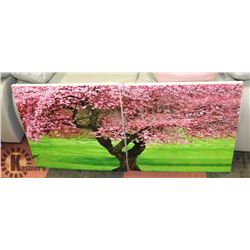 SET OF TWO PICTURES - 2 HALVES OF VIBRANT