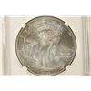 Image 1 : 2013 AMERICAN SILVER EAGLE NGC MS70 1ST RELEASES