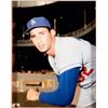 Image 2 : Sandy Koufax Photograph