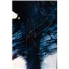 Image 7 : Staind Signed album cover